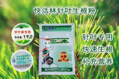 崖柏栽种怎么管理?树木移栽生根粉用什么好